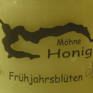 Frühjahrshonig